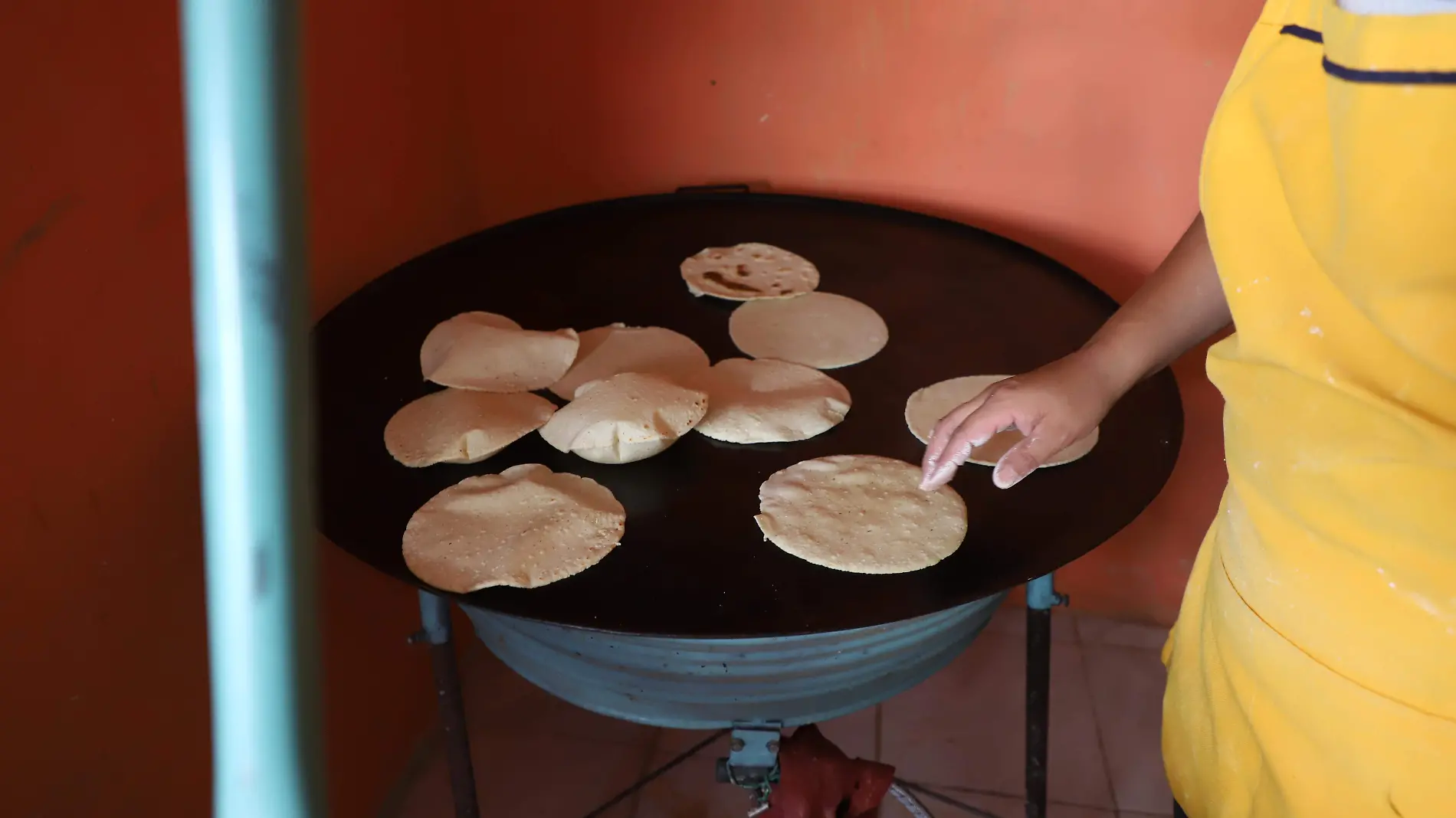 TORTILLAS F BEG (2)